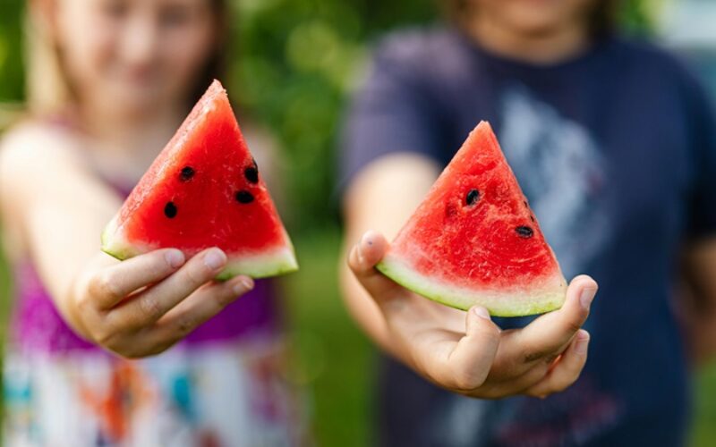 Nutricion infantil en verano