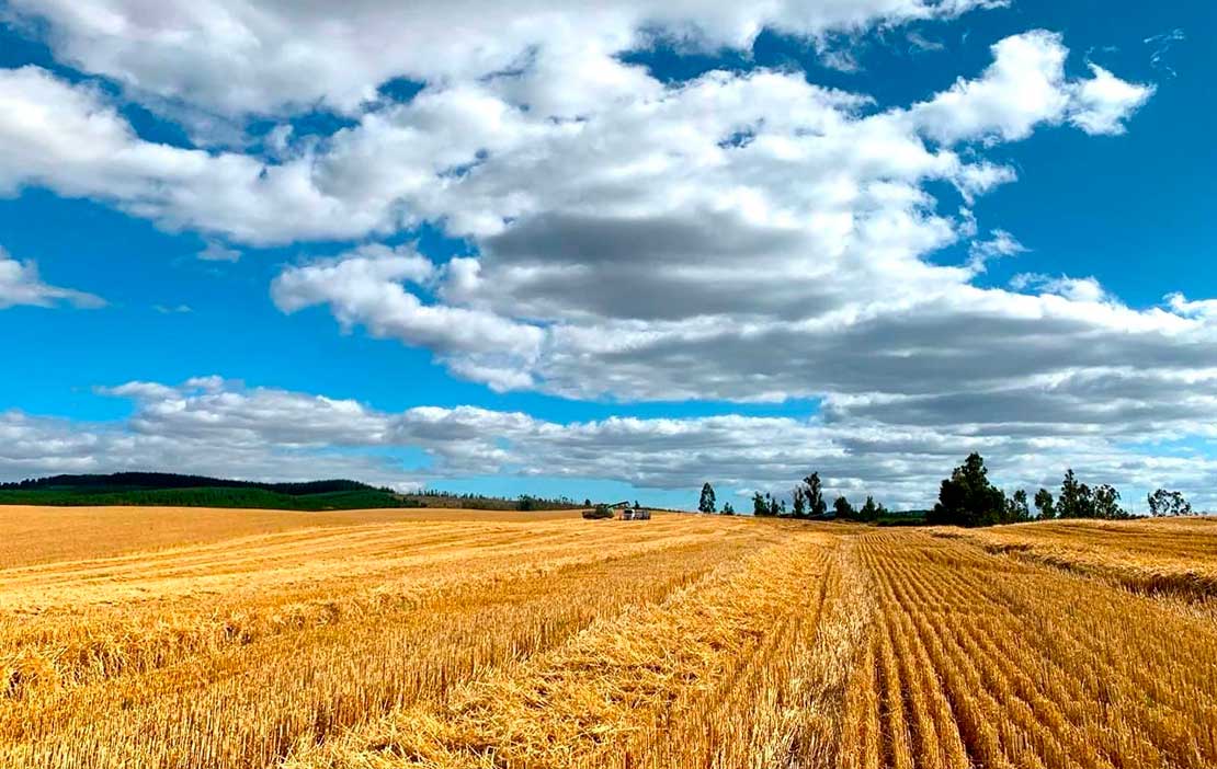 Instituto de Ciencias Agrícolas de Nestlé firma alianza con INIA