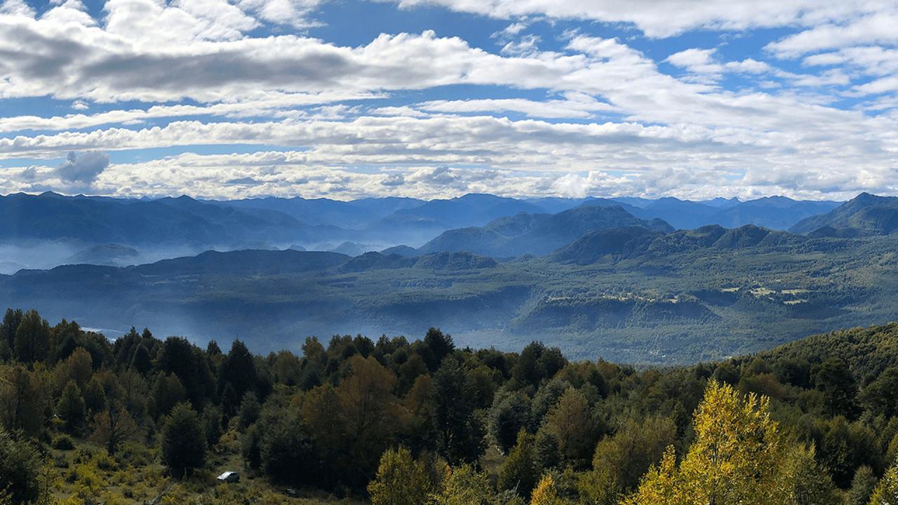 Nespresso y Fundación Reforestemos renuevan su alianza para la reforestación en Chile 