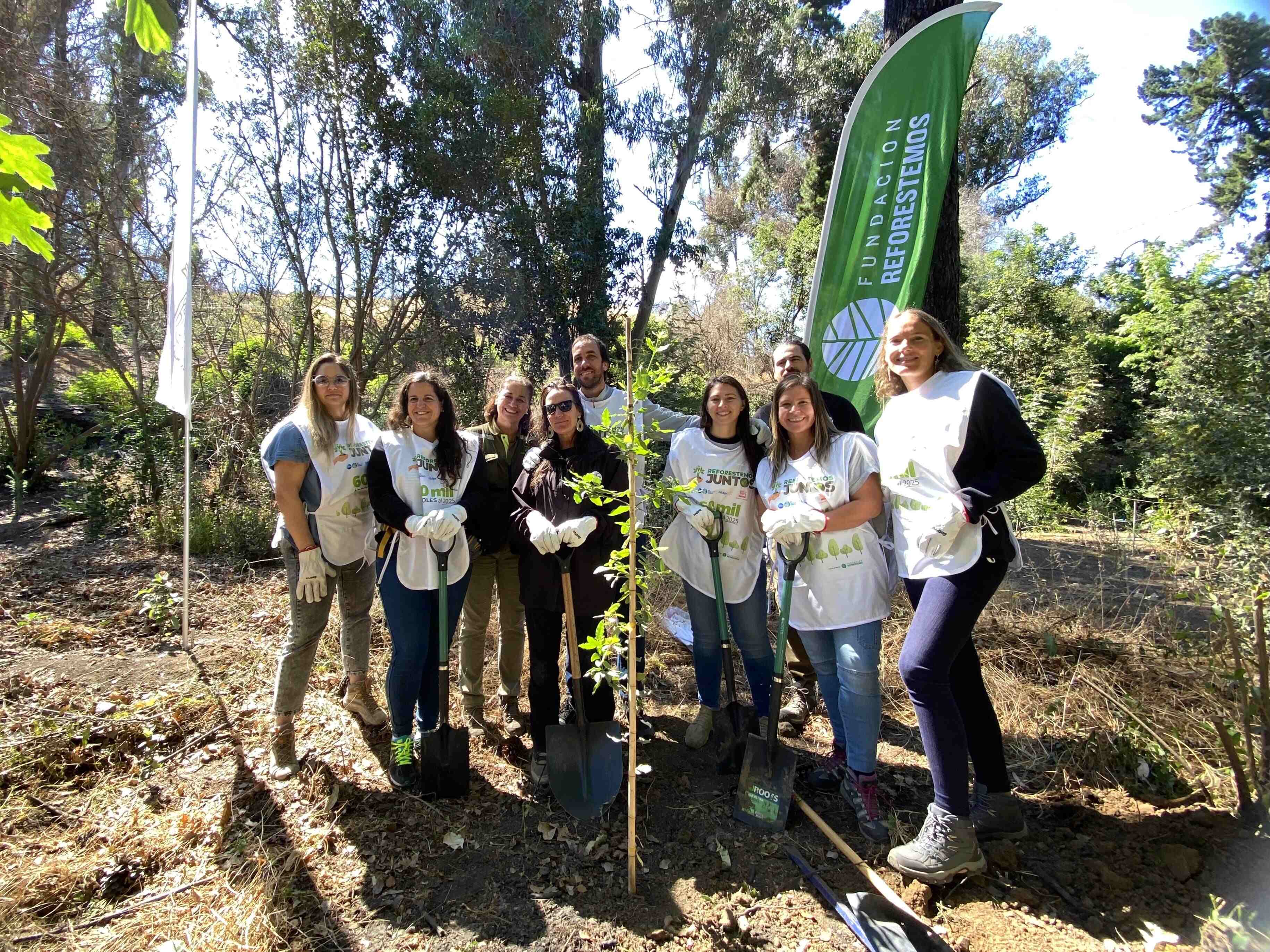 Imagen de Nestlé