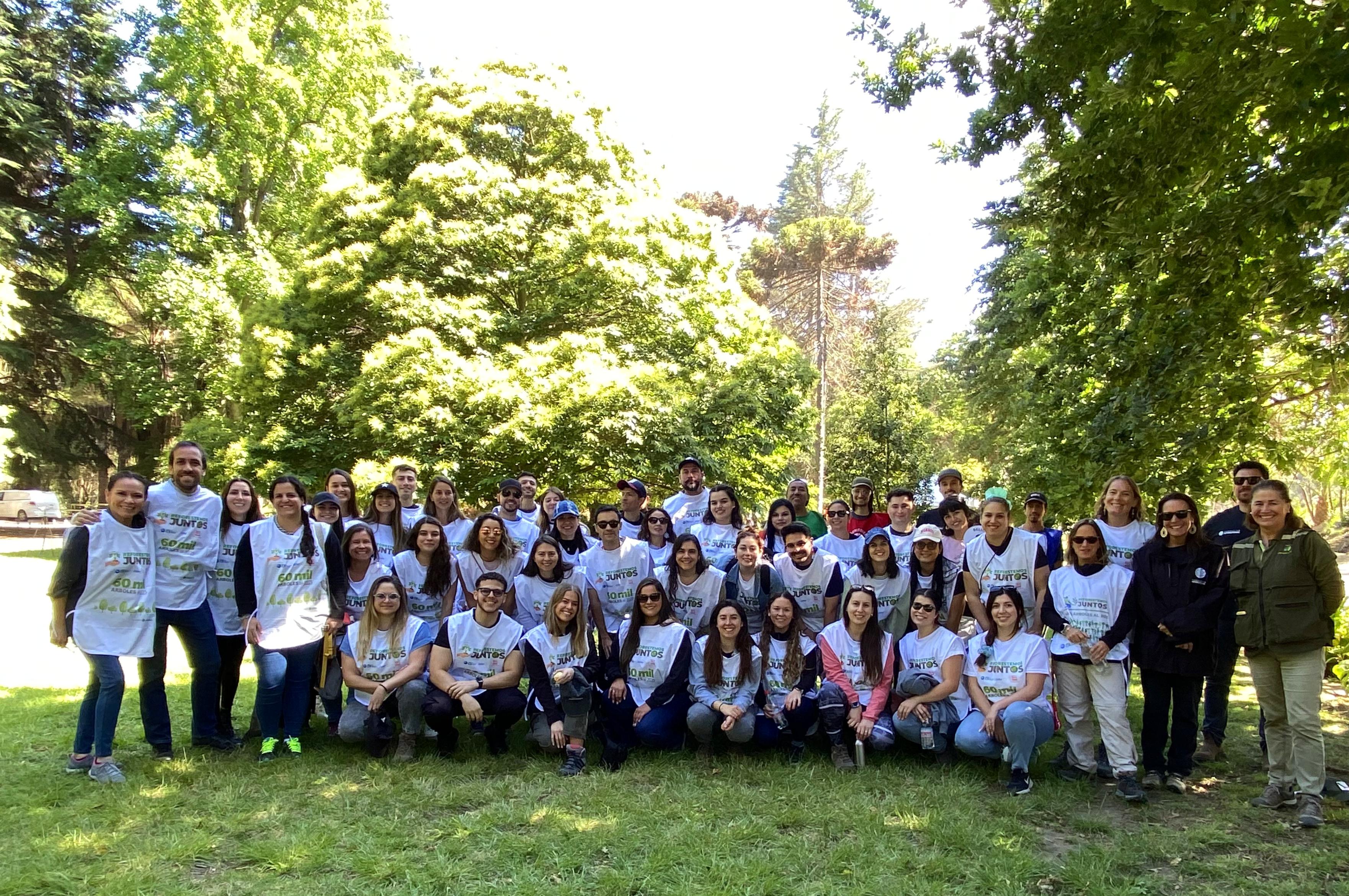 Reforestemos