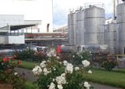 fabrica-07.jpg