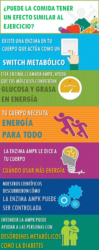 ¿Alimentos que simulan efectos del ejercicio?