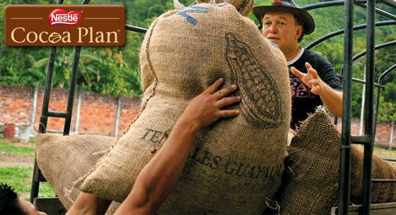 The Nestlé Cocoa Plan produce cacao más sostenible