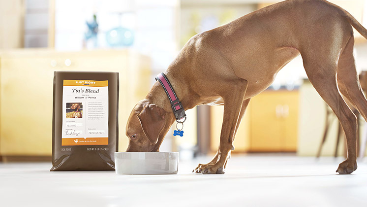 purina-dogfood-us-homepage-highlight.jpg