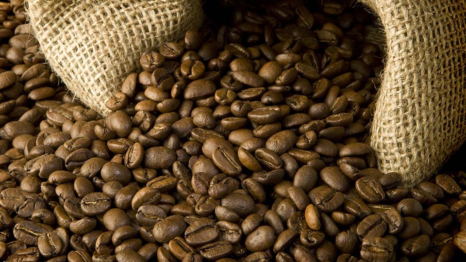 Nestlé ayuda a Etiopía a lanzar programa de trazabilidad de café para asegurar mejor calidad y sostenibilidad