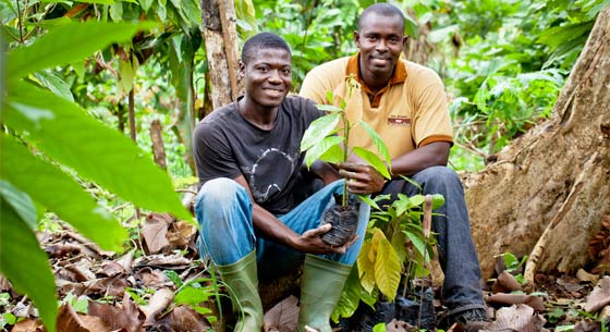 Nestlé emprende acciones para eliminar el trabajo infantil como respuesta al informe de la Fair Labor Organization relacionado a la cadena de suministro de cacao.