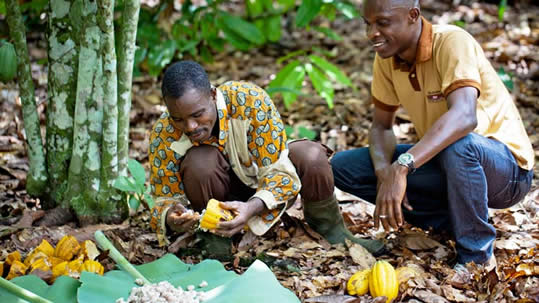 Nestlé se mantiene en primer lugar en índice de Sustentabilidad de Oxfam