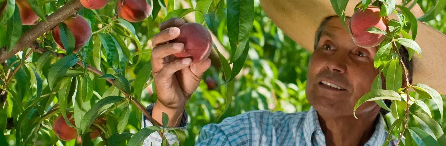 Mejorando la calidad de vida y contribuyendo a un futuro más saludable