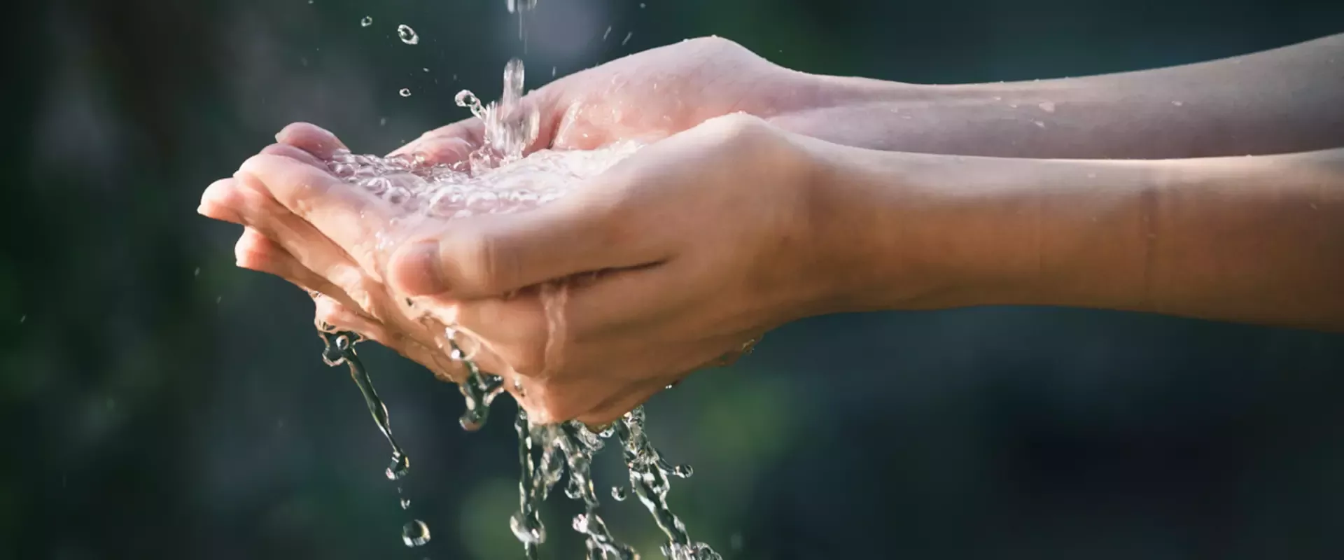 hero cuidando el agua