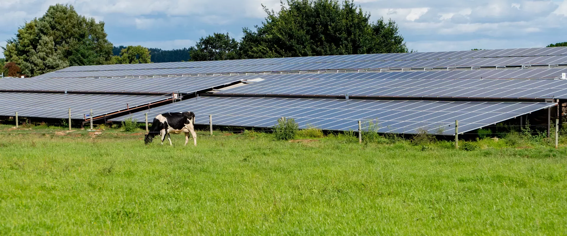 Agricultura Regenerativa
