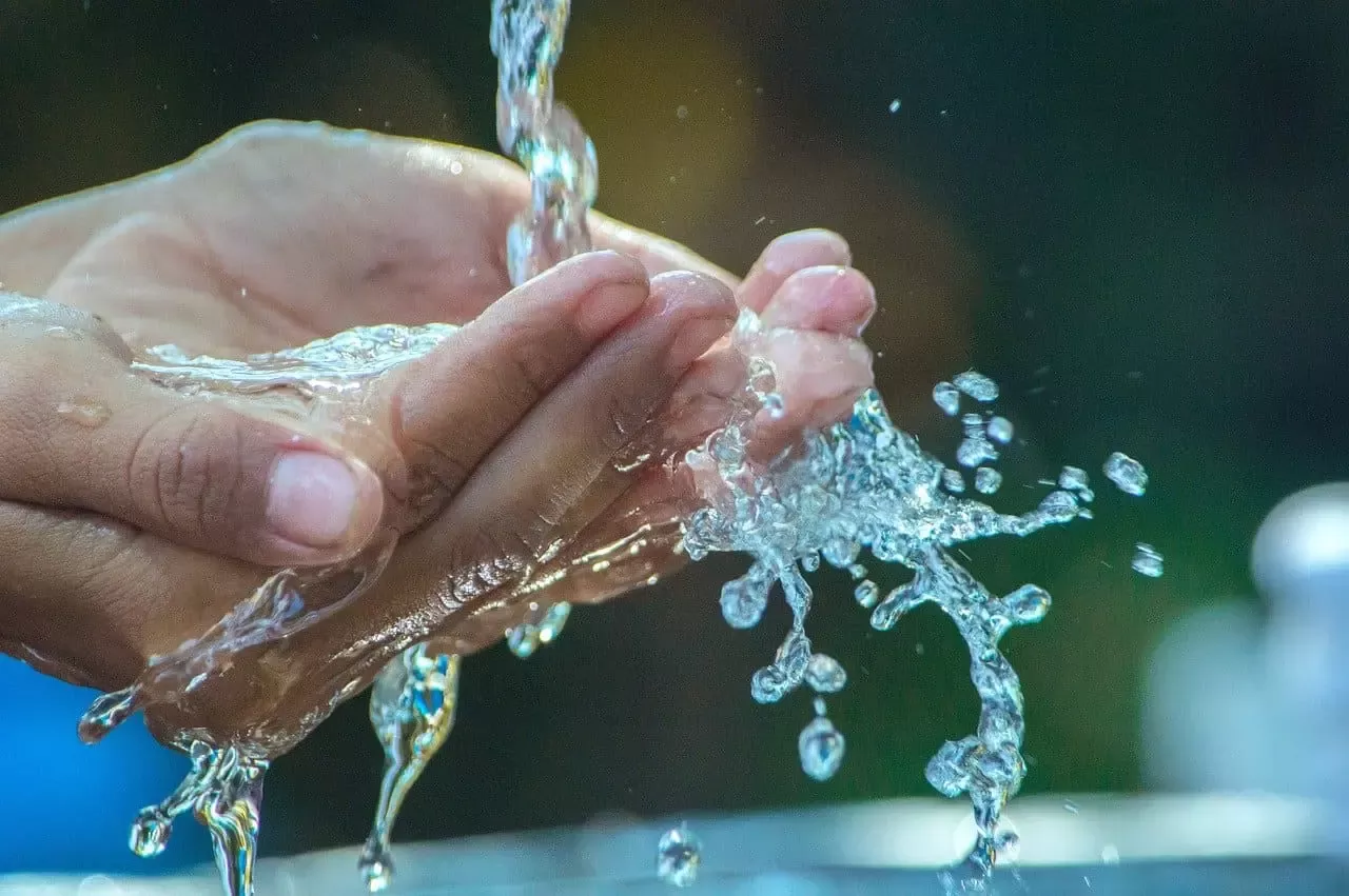 Día Mundial del Agua