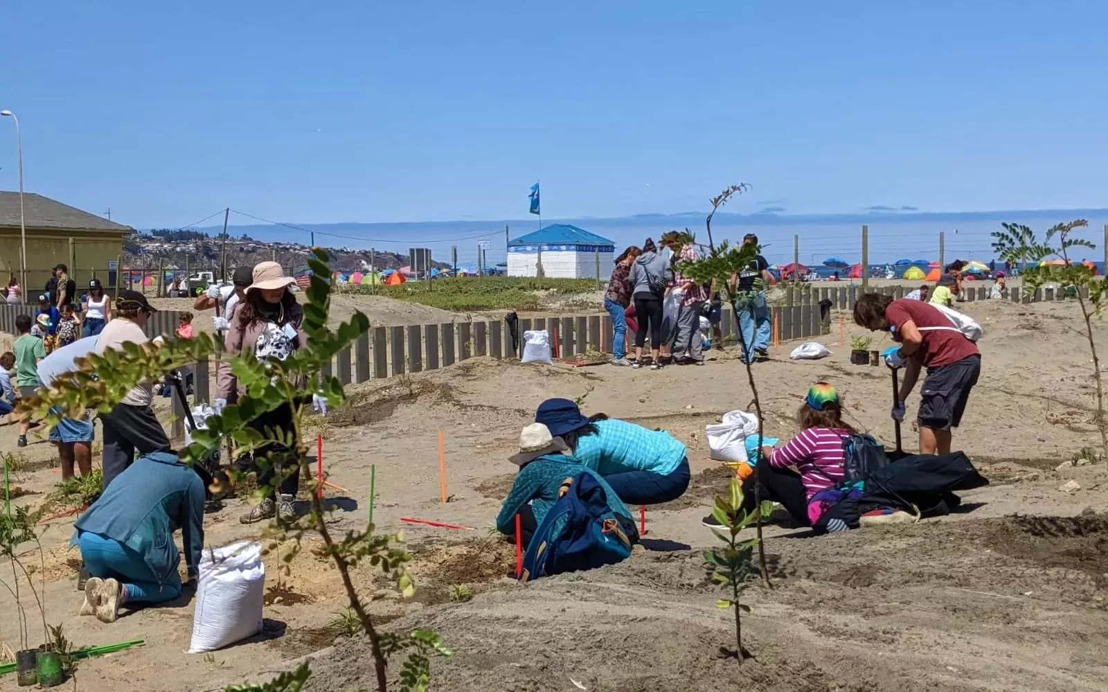 Vecinos plantan mil especies para conservar Humedal de Cartagena