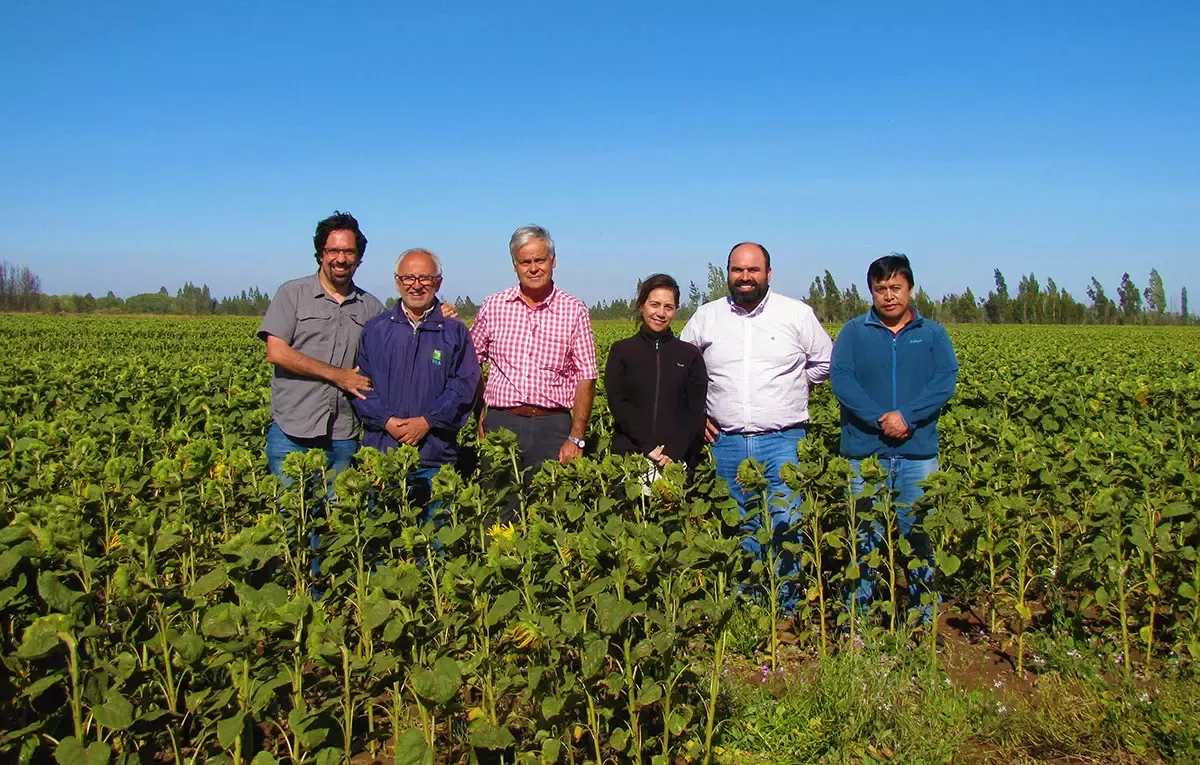 INIA y NESTLÉ Chile firman inédito convenio para el desarrollo de prácticas regenerativas con agricultores de cereales del Maule, Ñuble y La Araucanía