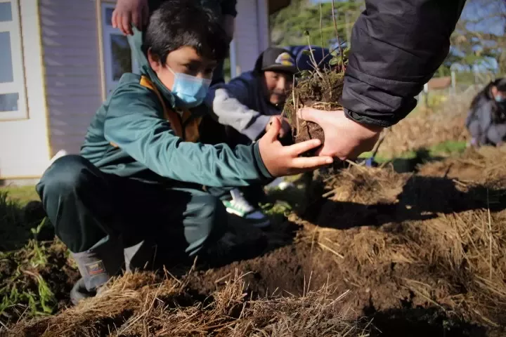 Estudiantes realizando la plantación de árboles