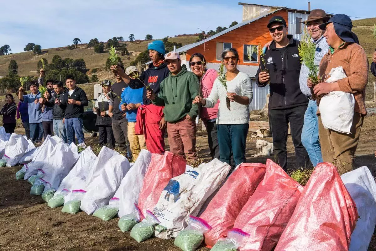 Fundación Reforestemos, Nestlé, P&amp;G y Walmart plantarán más de 23 mil árboles nativos en el sur de Chile este año