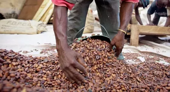 Nestlé se convierte en la primera compañía alimenticia en asociarse con la Fair Labor Association